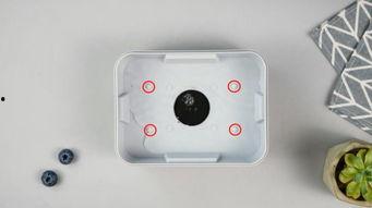 一次性饭盒爆料视频,视频爆料背后的环保与卫生真相  第3张