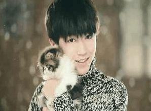 娱乐大爆料吴磊延迟毕业,娱乐大爆料背后的故事  第2张