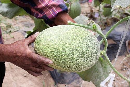 近期宿迁网红吃瓜合集,盘点近期热门事件  第1张