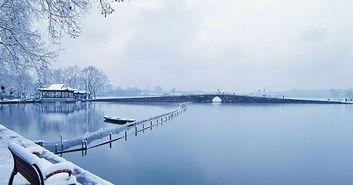 断桥爆料技巧视频大全,揭秘高效信息获取秘籍  第3张