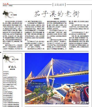 大渡口最新爆料信息网址,揭秘神秘事件背后的真相  第3张